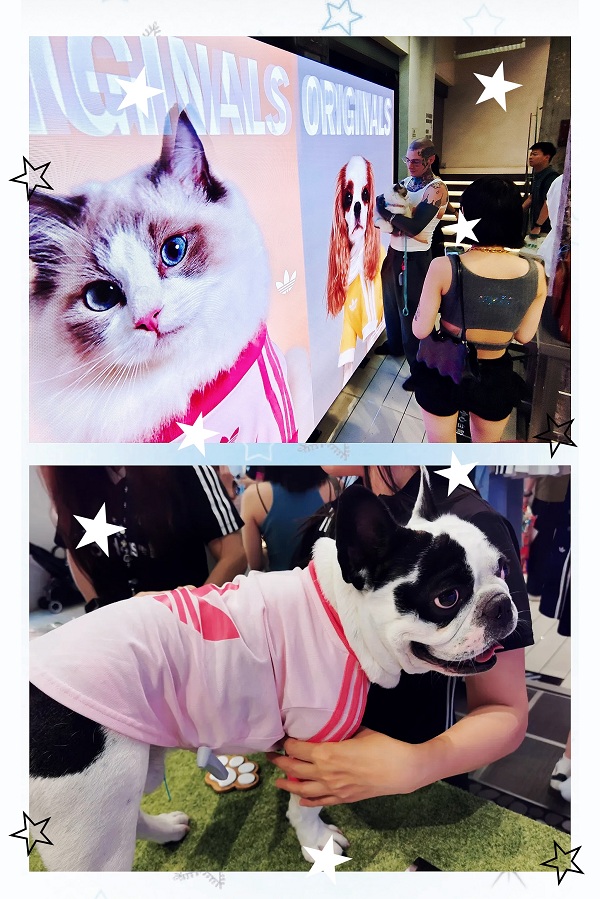 Los peludos amigos prueban la primera colección para mascotas del mundo en la tienda insignia global de Adidas Originals.jpg