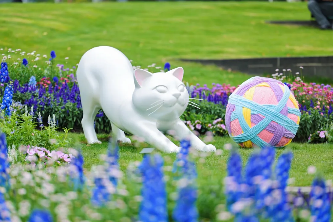 Un gatito juega entre las flores en la sede secundaria del distrito de Xuhui..png