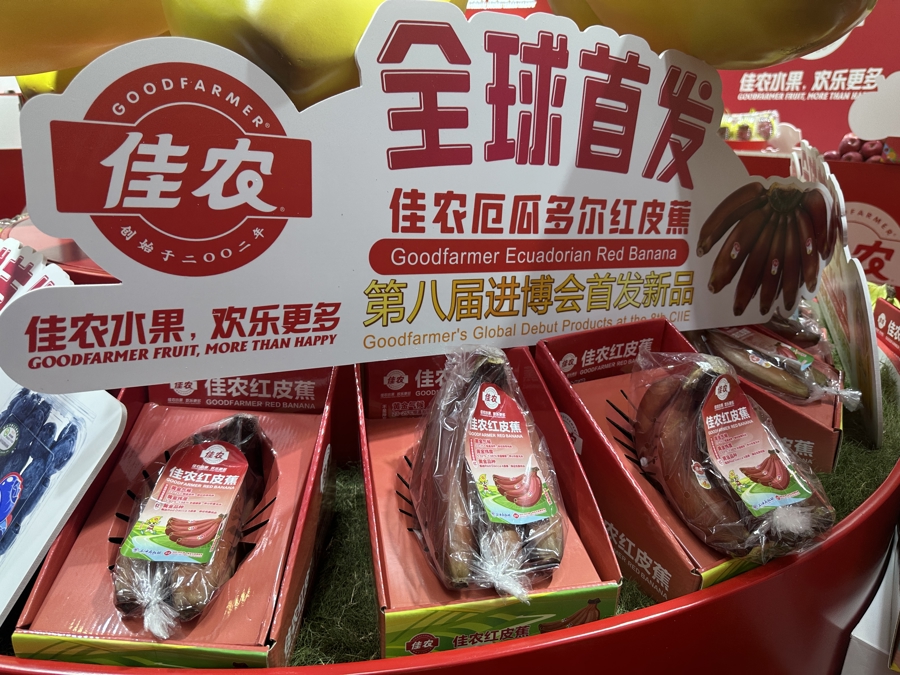 Plátanos rojos ecuatorianos expuestos en la VIII Exposición Internacional de Importaciones de China..jpeg