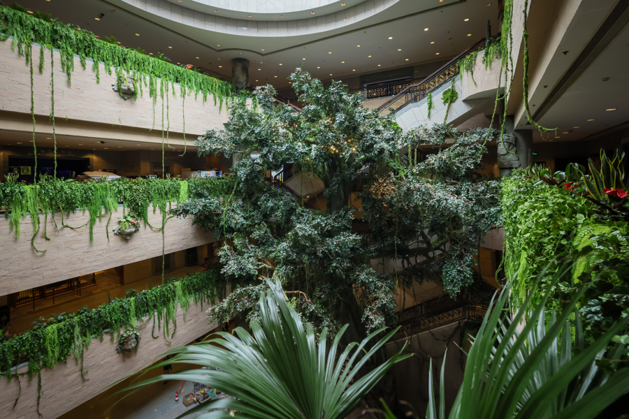 El vestíbulo de la sede del Museo de Shanghai en la Plaza del Pueblo se transforma en una selva tropical para ofrecer una experiencia inmersiva.jpg