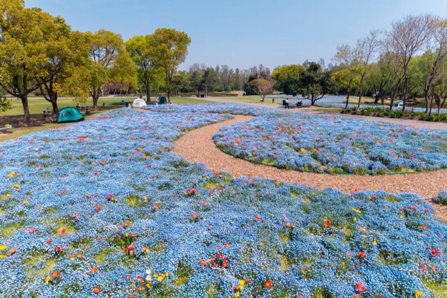 La exposición floral de Shanghai de este año destaca la variedad