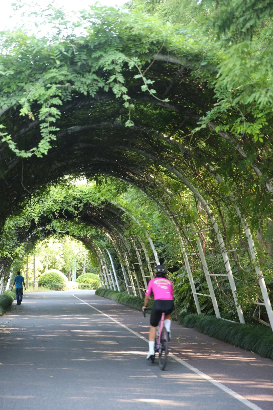 Un oasis urbano para ciclistas escondido en el distrito de Changning_副本.jpg