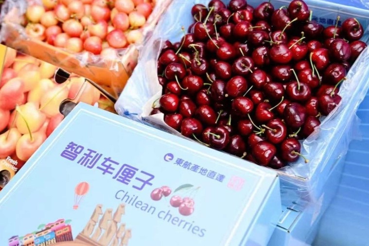 Récord de importación de cerezas chilenas en 24 horas alcanzado por China Eastern Airlines