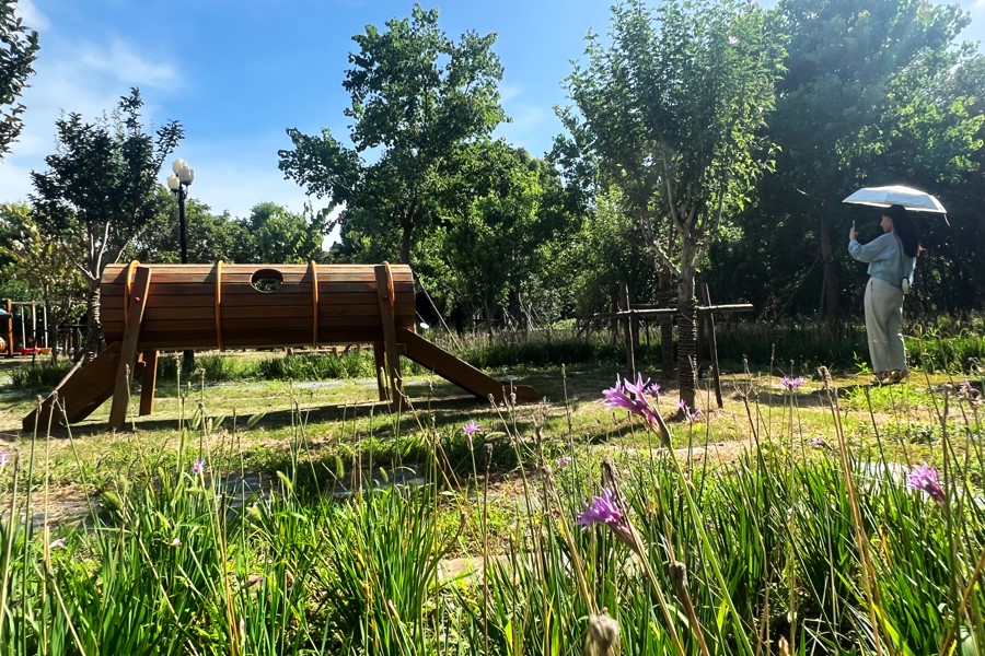 Shanghai impulsa su desarrollo como ciudad ecológica con avances significativos