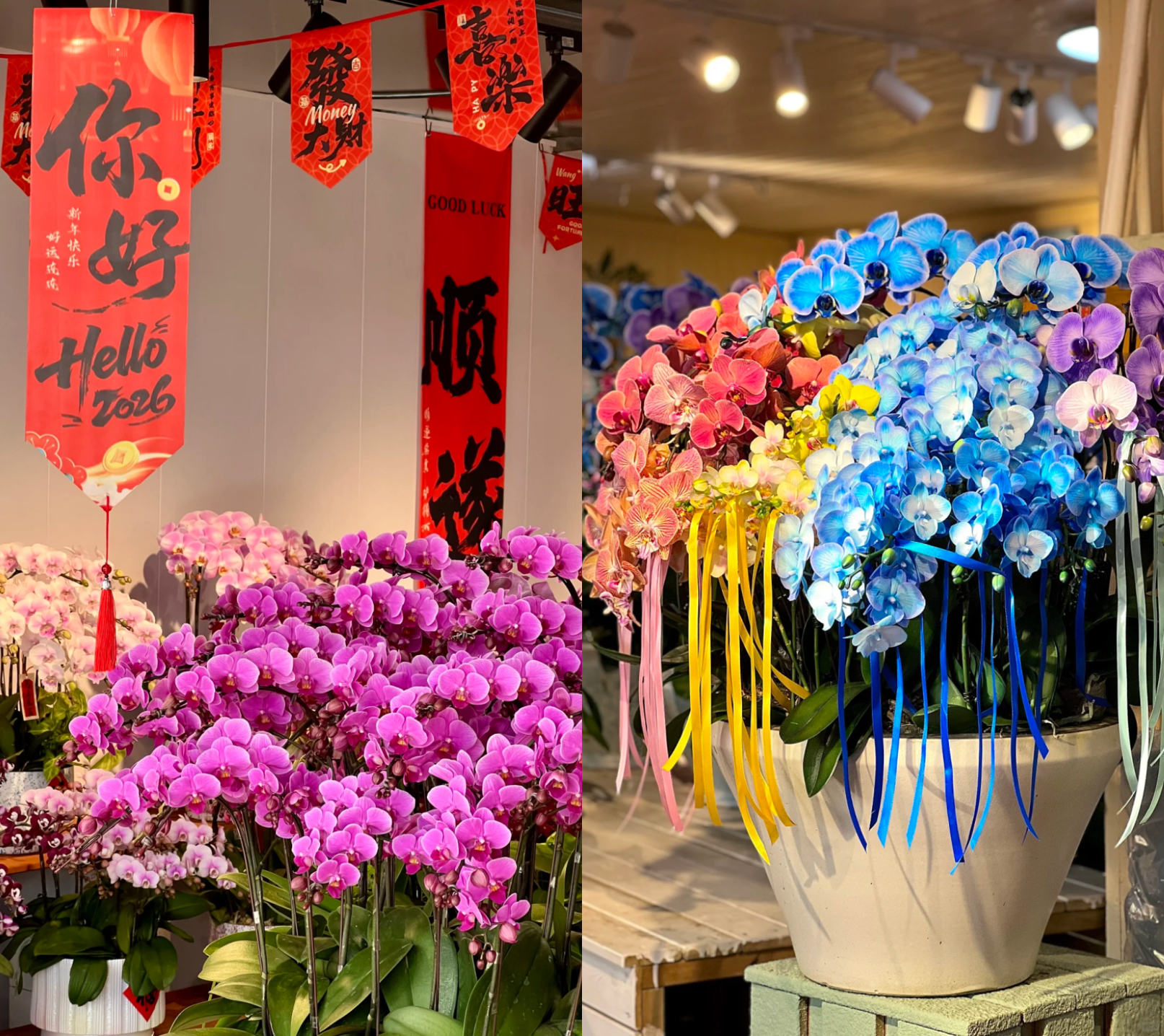 Una muestra de las flores del Año Nuevo Chino en el Valle de las Flores de Hongqiao..jpg