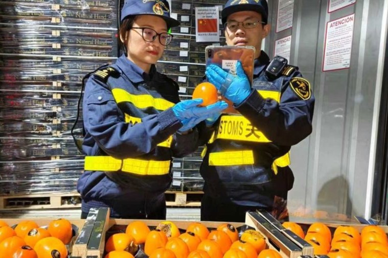 Shanghai aumenta importaciones de productos agrícolas y optimiza el despacho aduanero