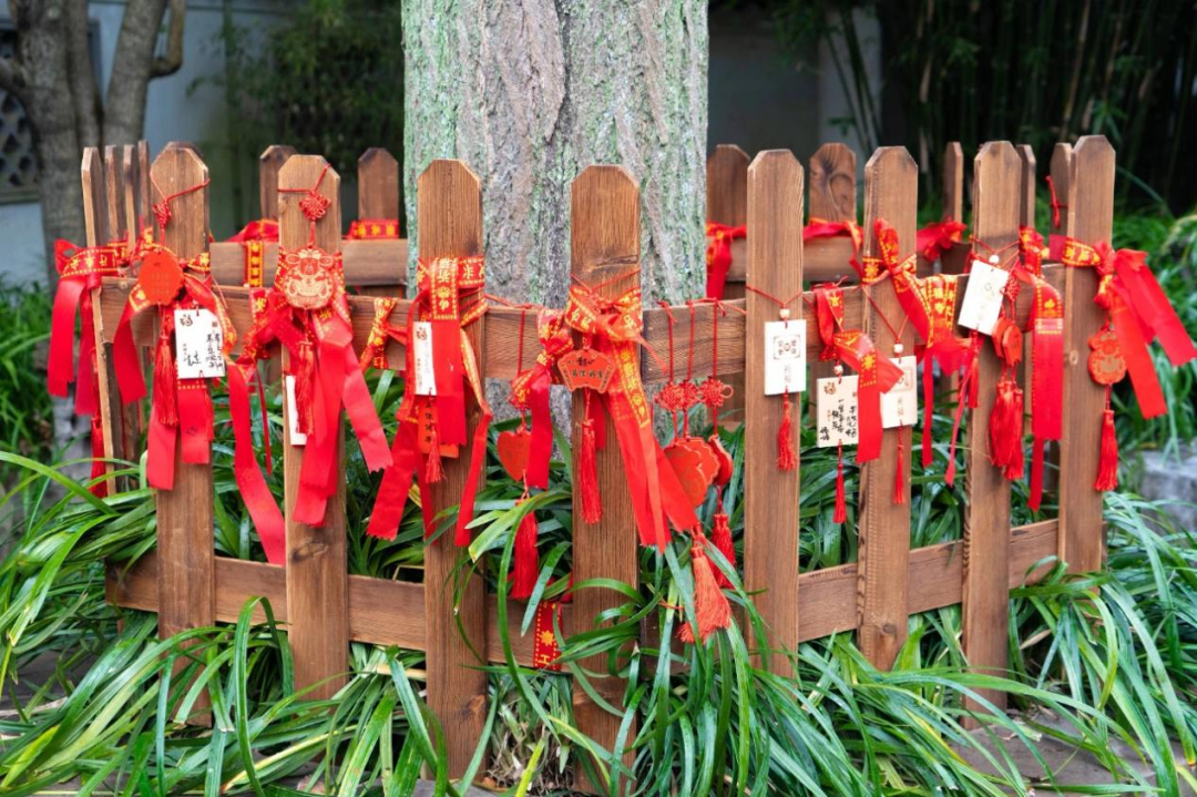 Las placas con deseos para el nuevo año adornan la valla que rodea el árbol de ginkgo en el Jardín Guyi..png