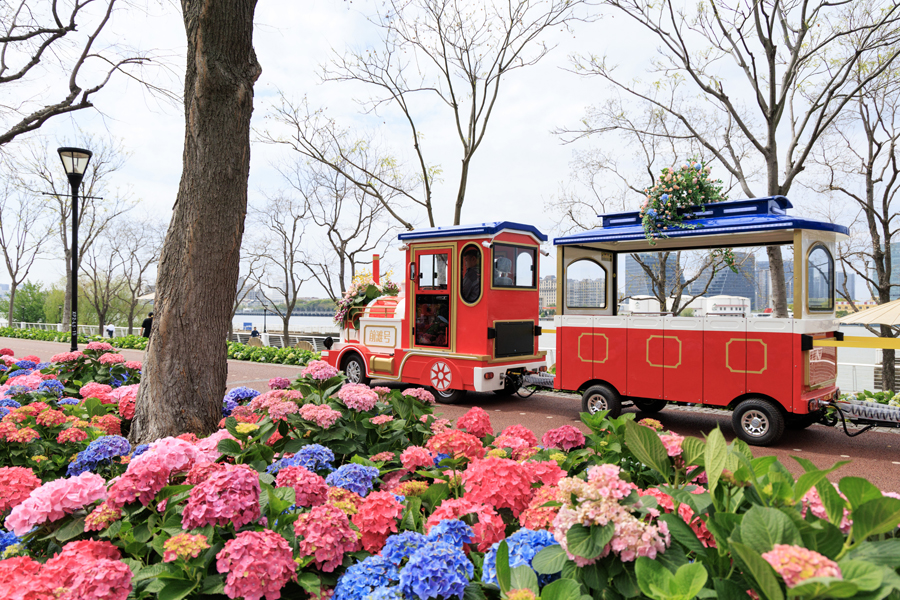 Shanghai se convertirá en una ciudad de flores