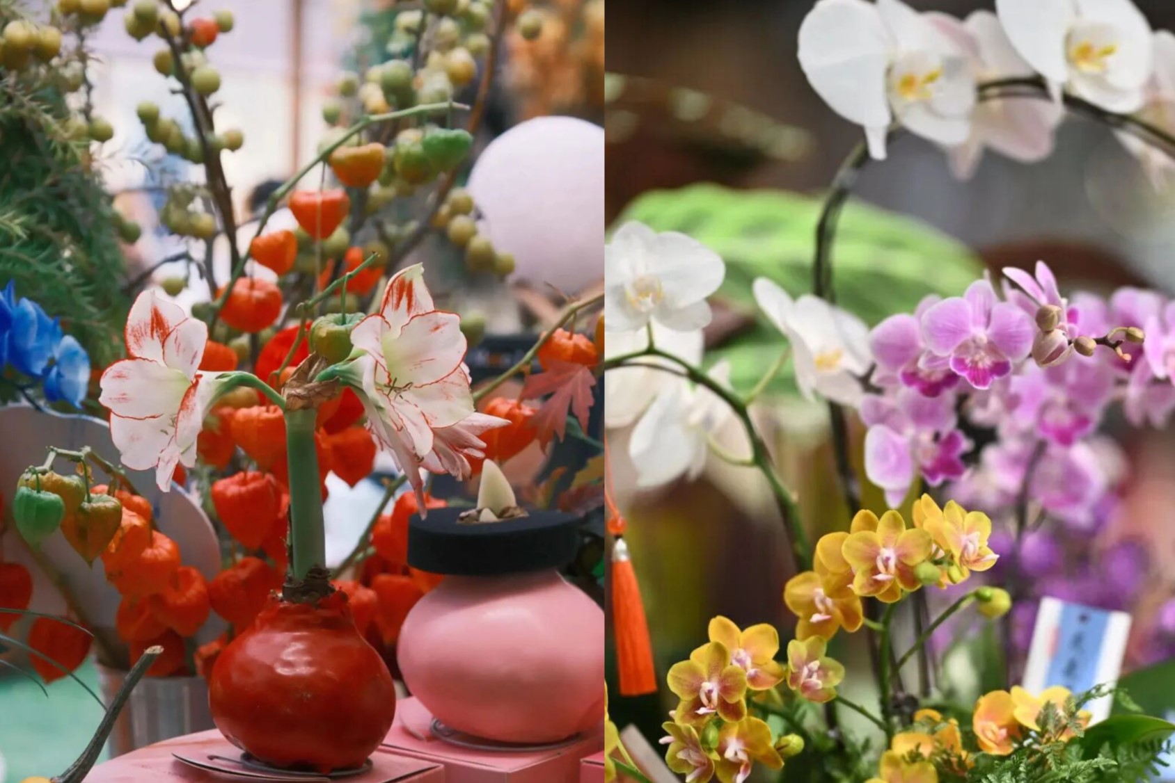 Dónde comprar flores para el Año Nuevo Chino en la ciudad