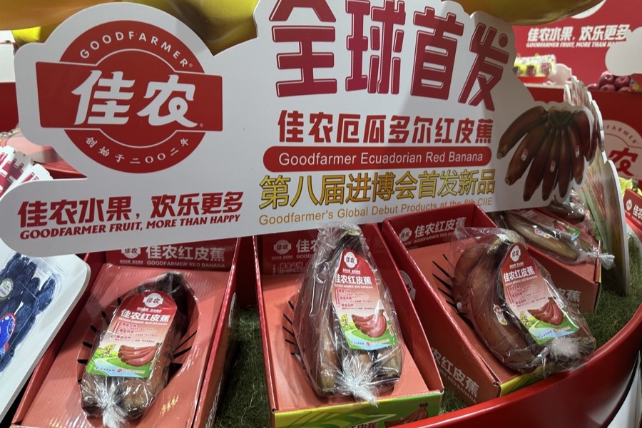 Entrevista: Octava CIIE impulsa la apertura de alto nivel de China al mundo, afirma líder empresarial ecuatoriano