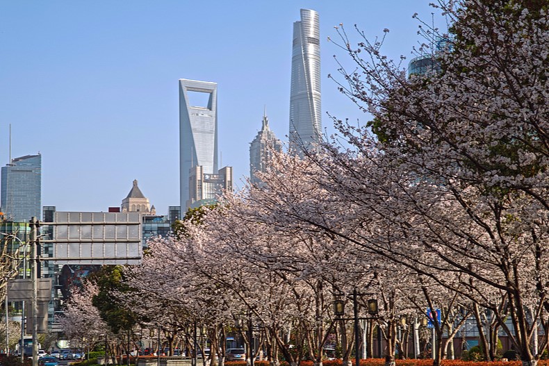 Shanghai presenta 20 nuevas medidas para facilitar el desarrollo de las pymes