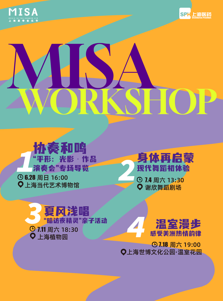 MISA Workshop.png
