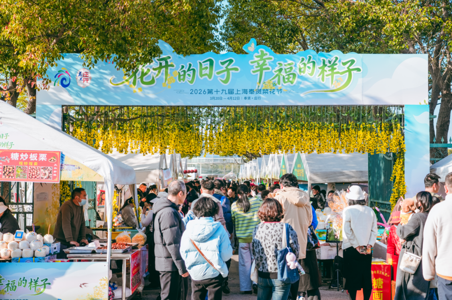 Escena del festival de colza del distrito de Fengxian.png
