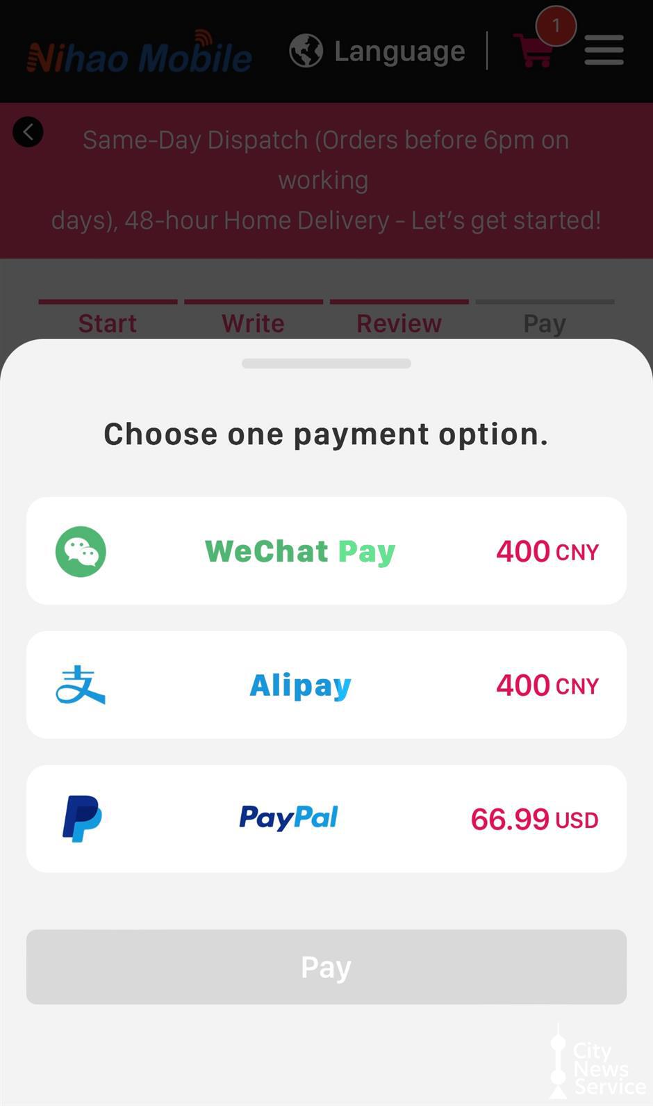 Elija su opción de pago y realice el pago. (PayPal está disponible).jpg