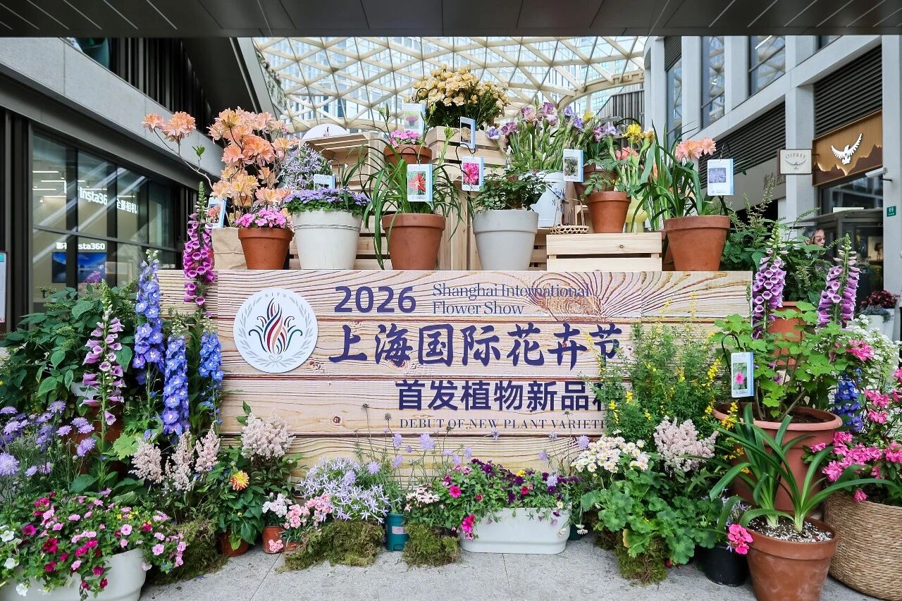 Durante la Exposición Internacional de Flores de Shanghai 2026 se presentan nuevas variedades de plantas..jpg