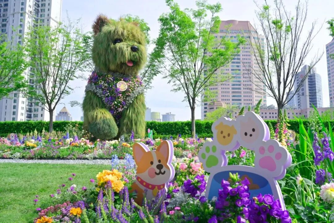 La escultura de cachorro desaliñado en Suhewan Mixc World.jpg
