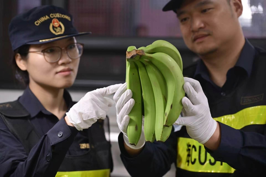 Llegan a Shanghai 1.200 kilogramos de bananas frescas de Perú para la IX CIIE