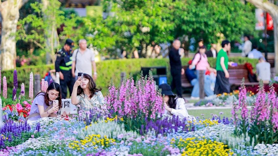 La Exposición Internacional de Flores de Shanghai 2025 atrae a grandes multitudes.jpg