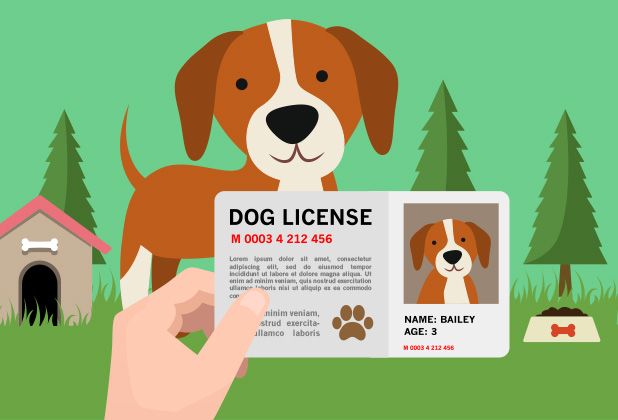 Cómo obtener una licencia para perros