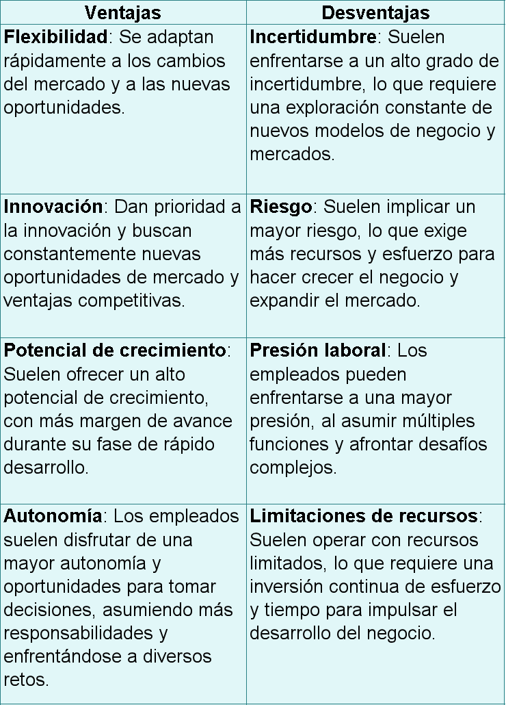 ventajas y desventajas de trabajar en una empresa emergente.png