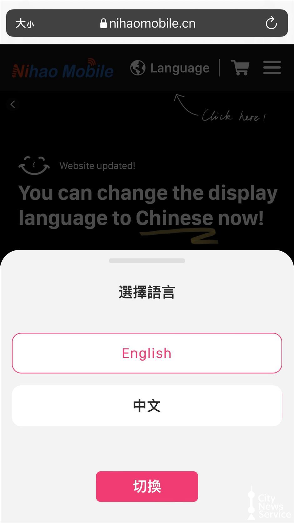 Vaya al sitio web y seleccione English como idioma de servicio preferido.jpg