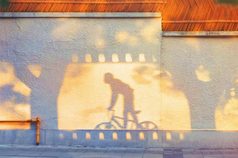 ¿Qué puede esperar del 27º SIFF?