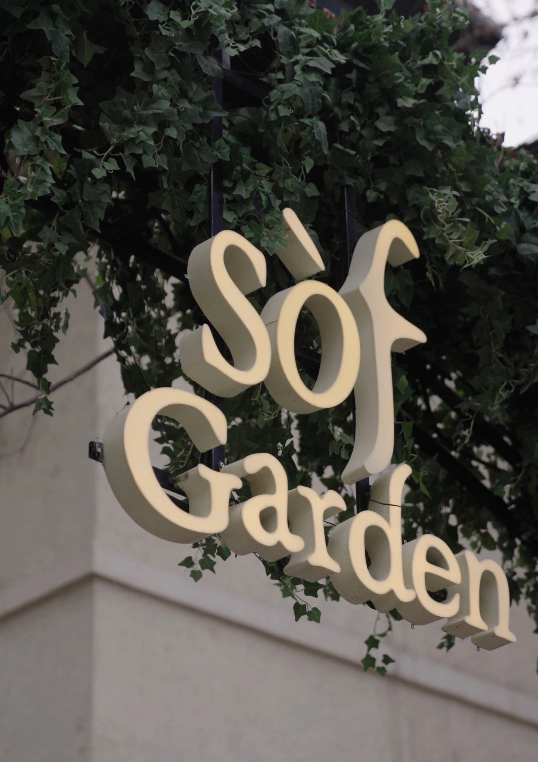 Sof Garden.jpg