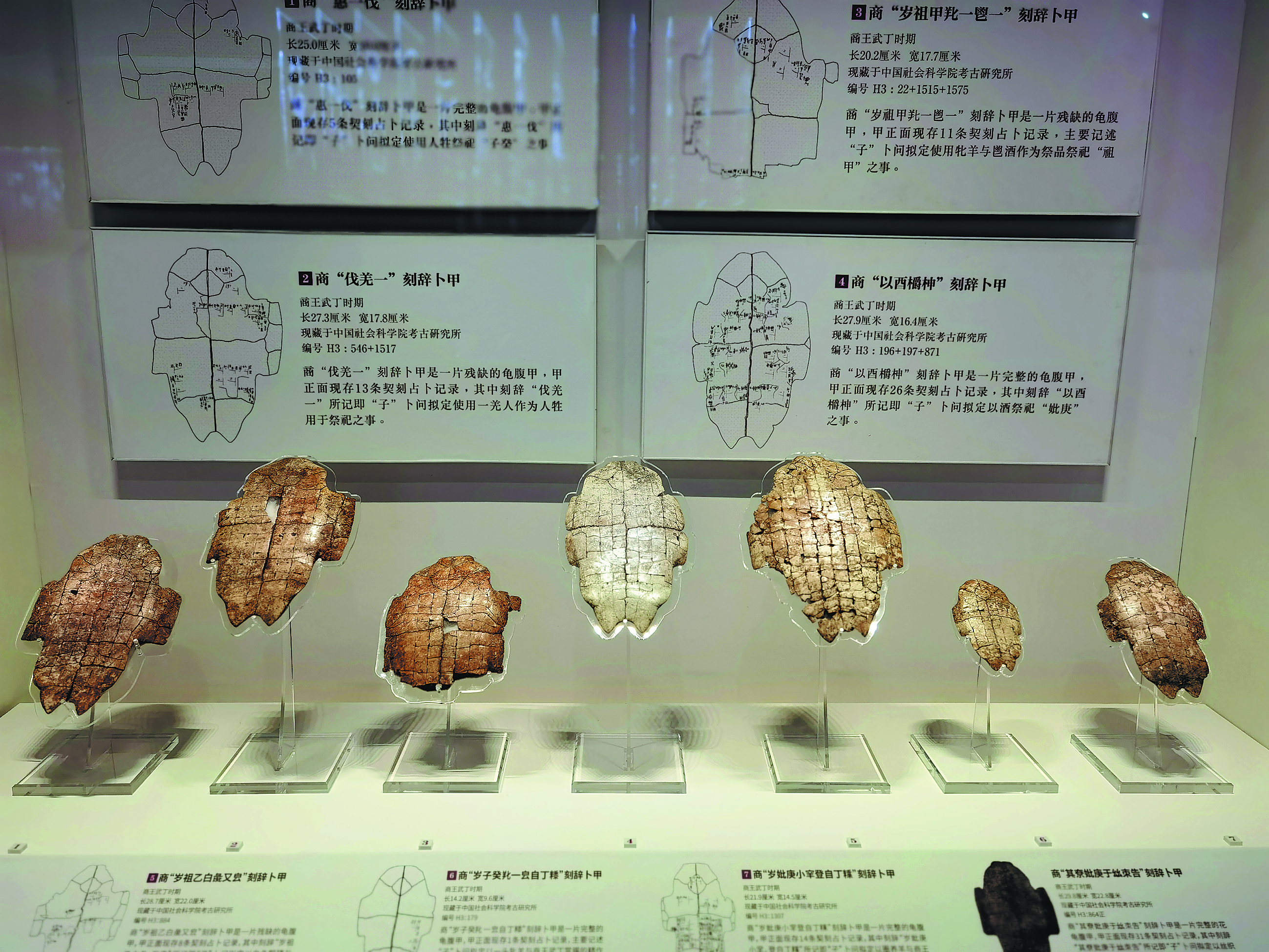 Investigadores de la Universidad de Fudan buscan descifrar las inscripciones en huesos oraculares