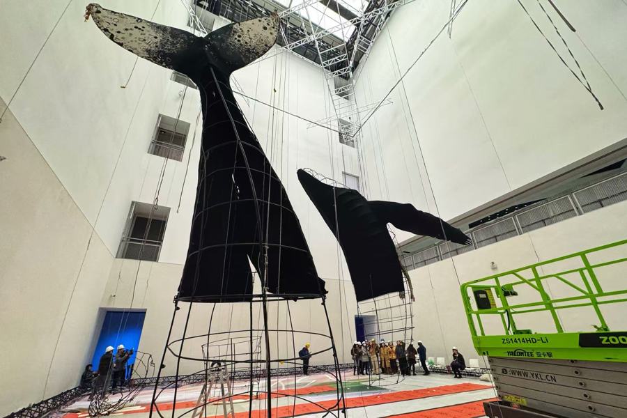 La preparación de las instalaciones de ballenas está en pleno proceso..jpg