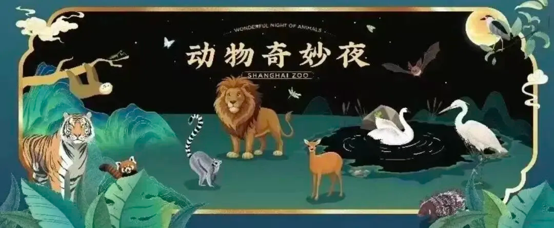 Noche Maravillosa de los Animales.png