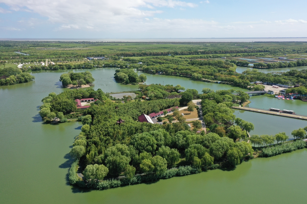 Vista aérea de la aldea de Yingdong, en el distrito de Chongming, en Shanghai.-IC.jpg