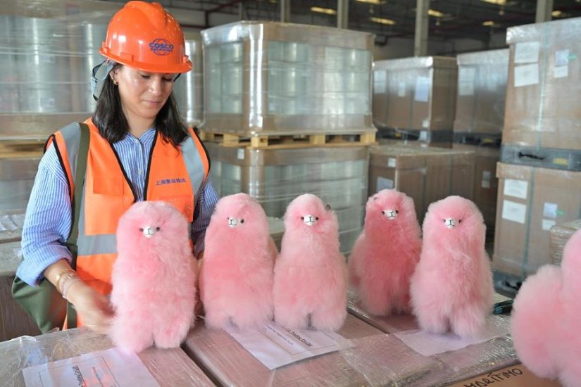 Un lote de peluches de alpaca de Perú llega a un almacén en el puerto de Yangshan en Shanghai el 14 de octubre de 2024.jpg