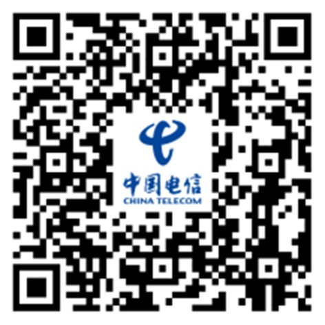 China Telecom.jpg