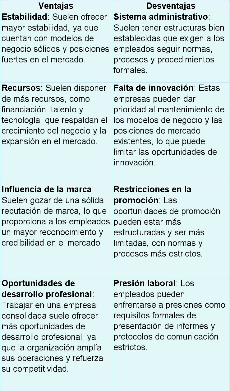 ventajas y desventajas de trabajar en una empresa consolidada.png
