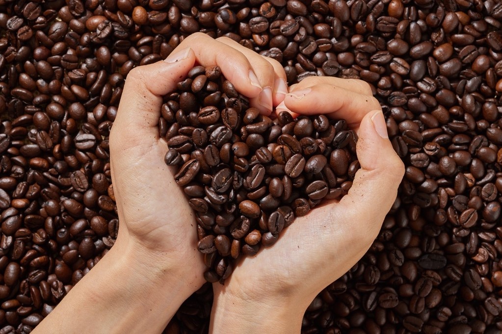 Evento especial de presentación y degustación de café peruano se celebra en Shanghai