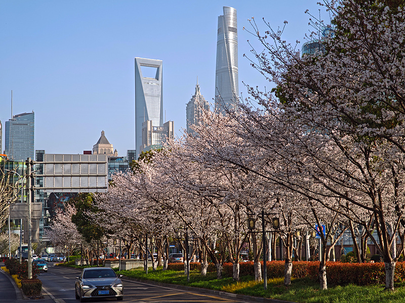Shanghai presenta 20 nuevas medidas para facilitar el desarrollo de las pymes.jpg