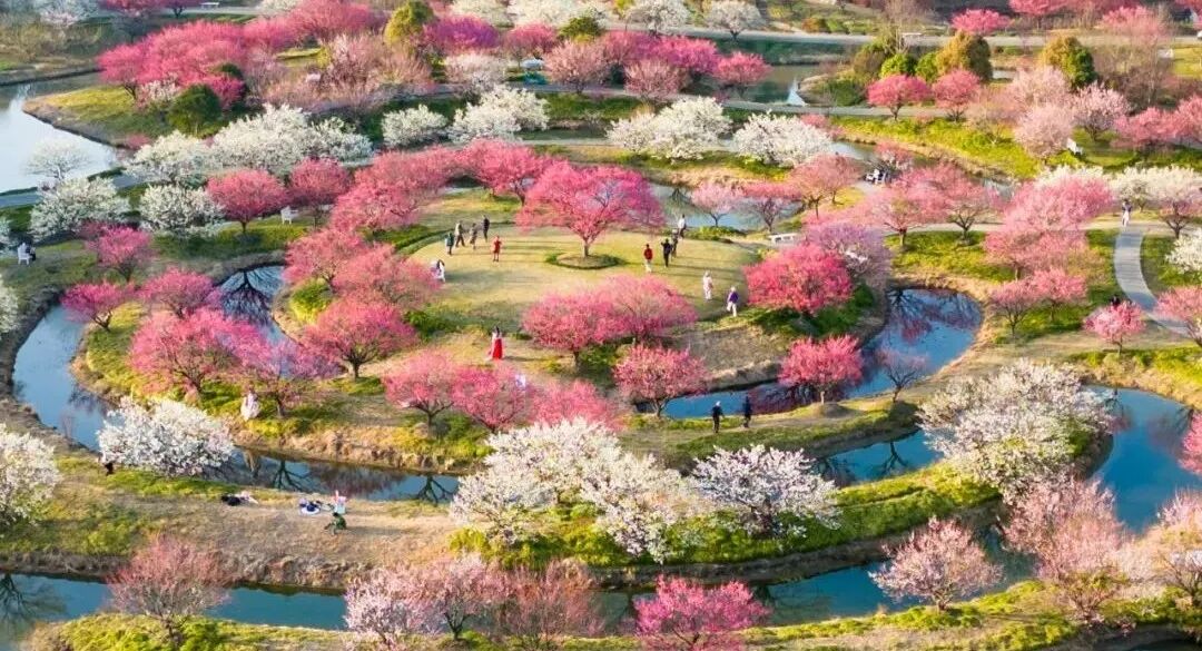 Vista aérea de Shanghai Blooming Garden..jpg