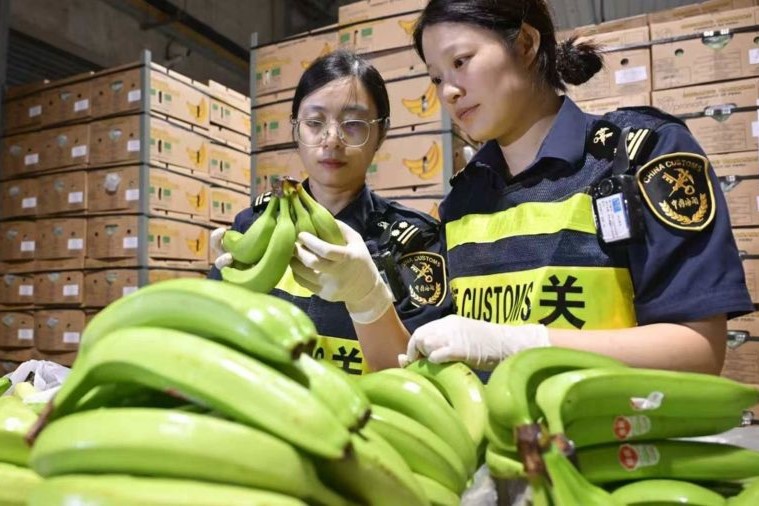 La primera importación nacional de bananas peruanas llega a Shanghai a través de la ruta marítima Chancay-Shanghai