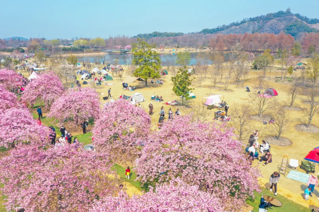 La temporada de turismo rural de primavera comienza en Shanghai_副本.jpg