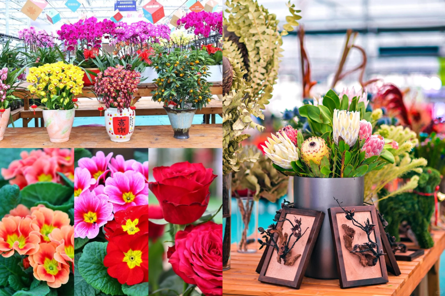 Una muestra de las flores del Año Nuevo Chino en el mercado..jpg