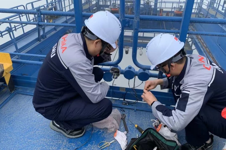 La Universidad Marítima de Shanghai impulsa el transporte exprés de arándanos peruanos en 23 días