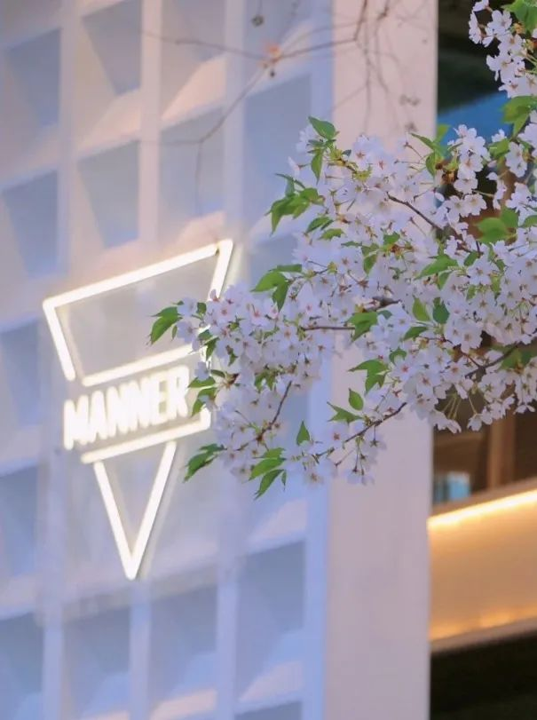 Valle de cerezos en flor de Shanghai.jpg