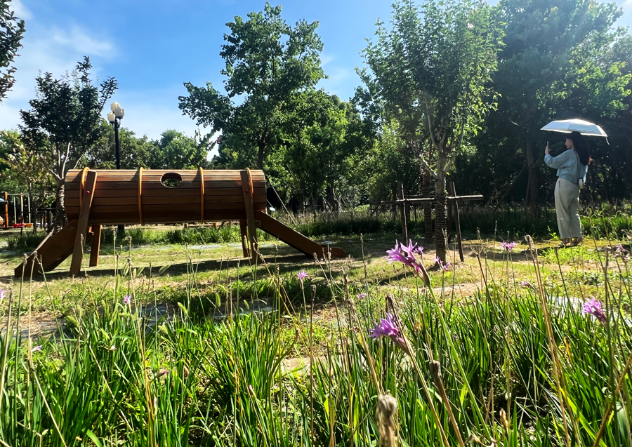 Un espacio verde ubicado en el pueblo de Zhangyan del distrito de Jinshan..jpg