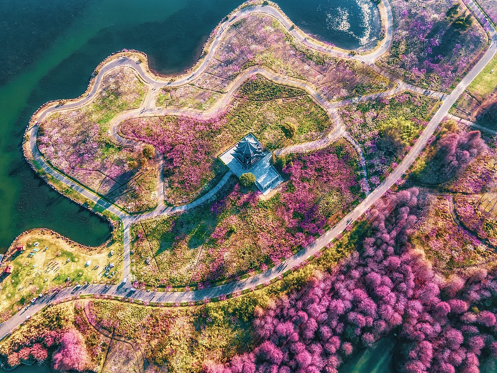 Temporada de flores primaverales-vcg.jpg