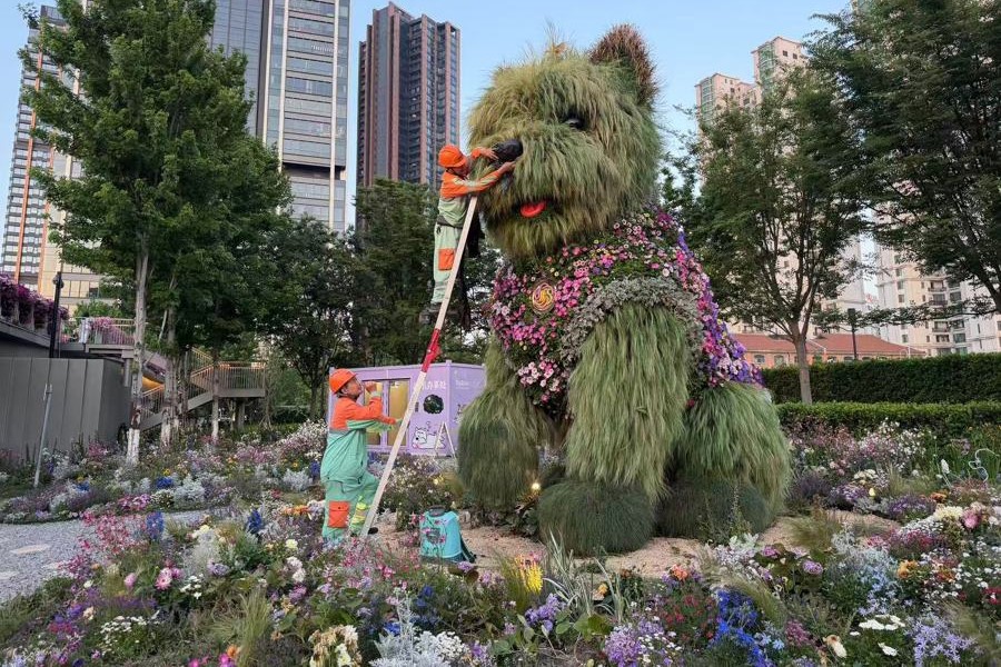 Redescubriendo el valor de las habilidades en Shanghai
